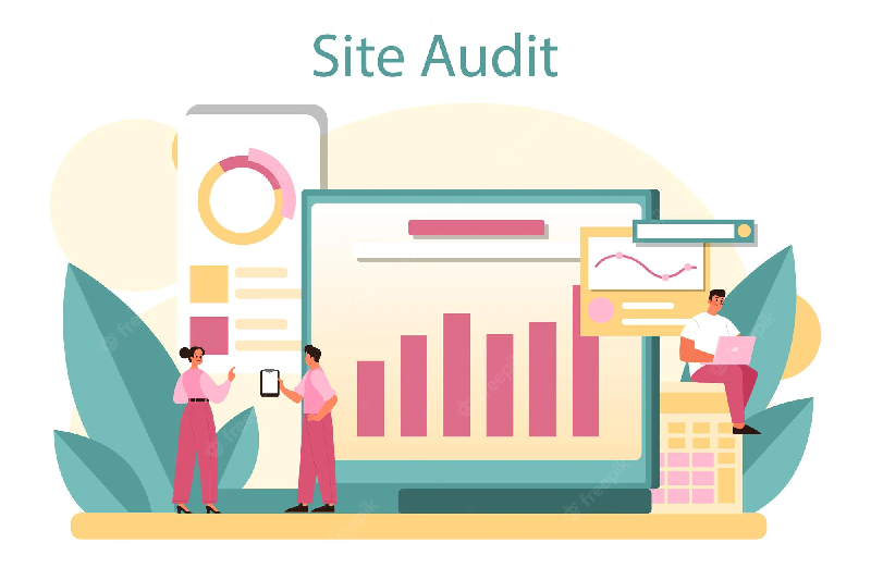 Audit và phân tích website
